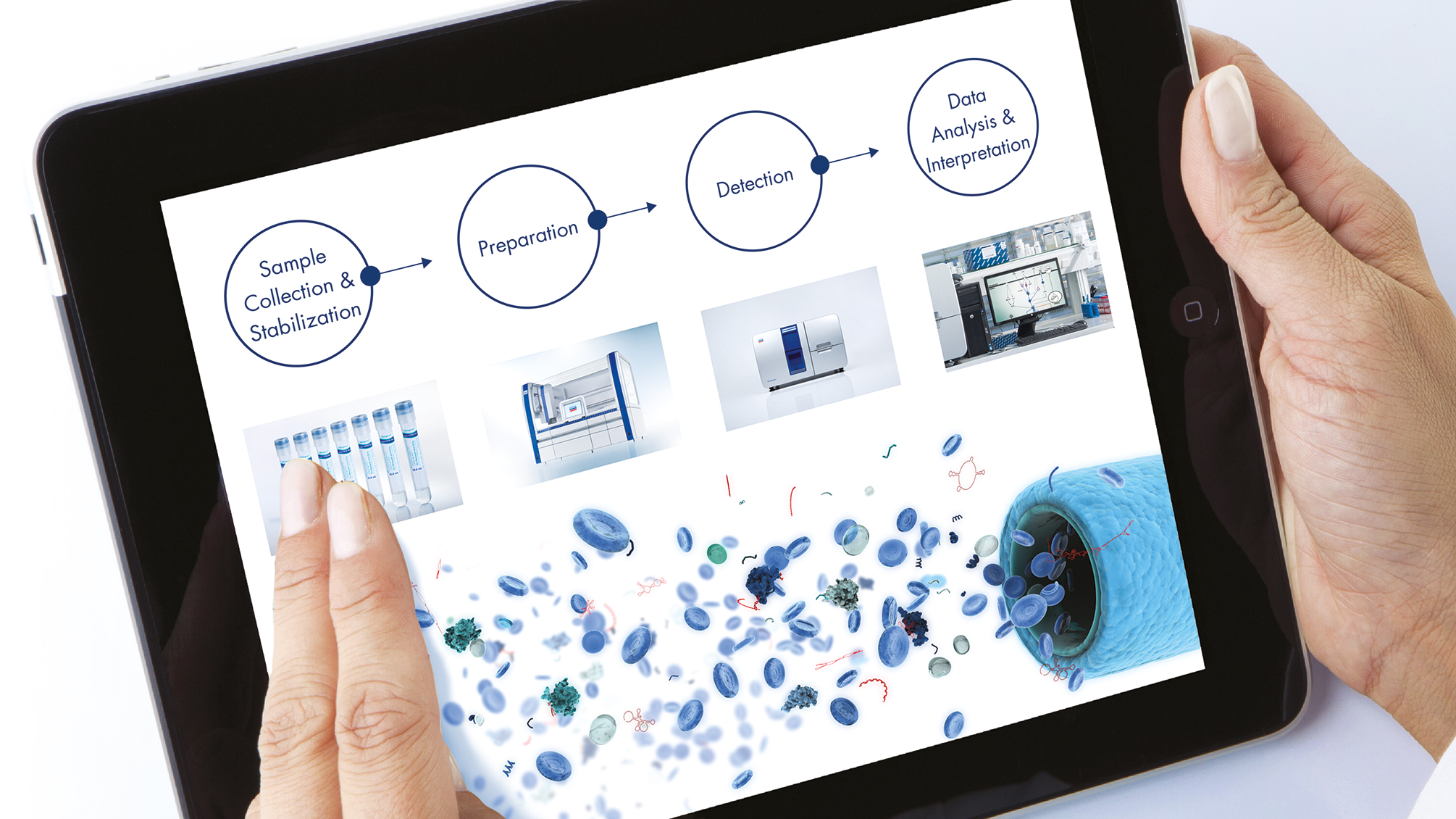 Interaktive Inhalte für iPad